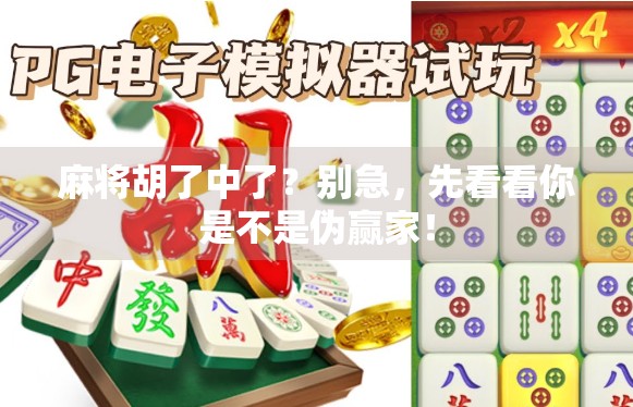 麻将胡了中了？别急，先看看你是不是伪赢家！