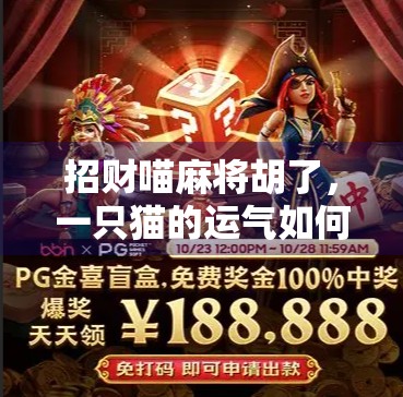 招财喵麻将胡了，一只猫的运气如何带火你的生活？